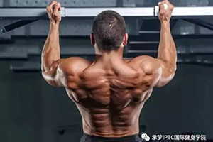 IPTC健身干货分享